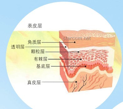 “感觉人中痒痒的”：神经生理学与皮肤敏感性的深度剖析